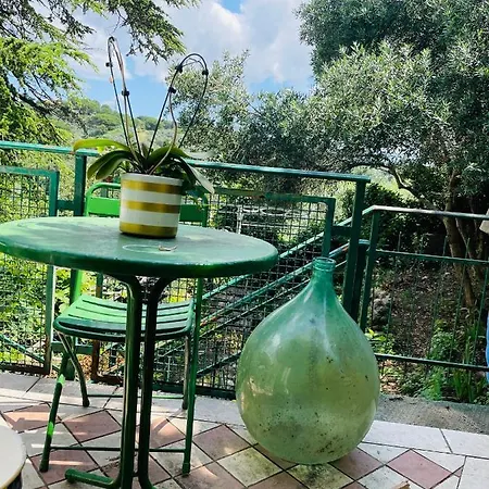 Casina Maro' * Rosignano Marittimo